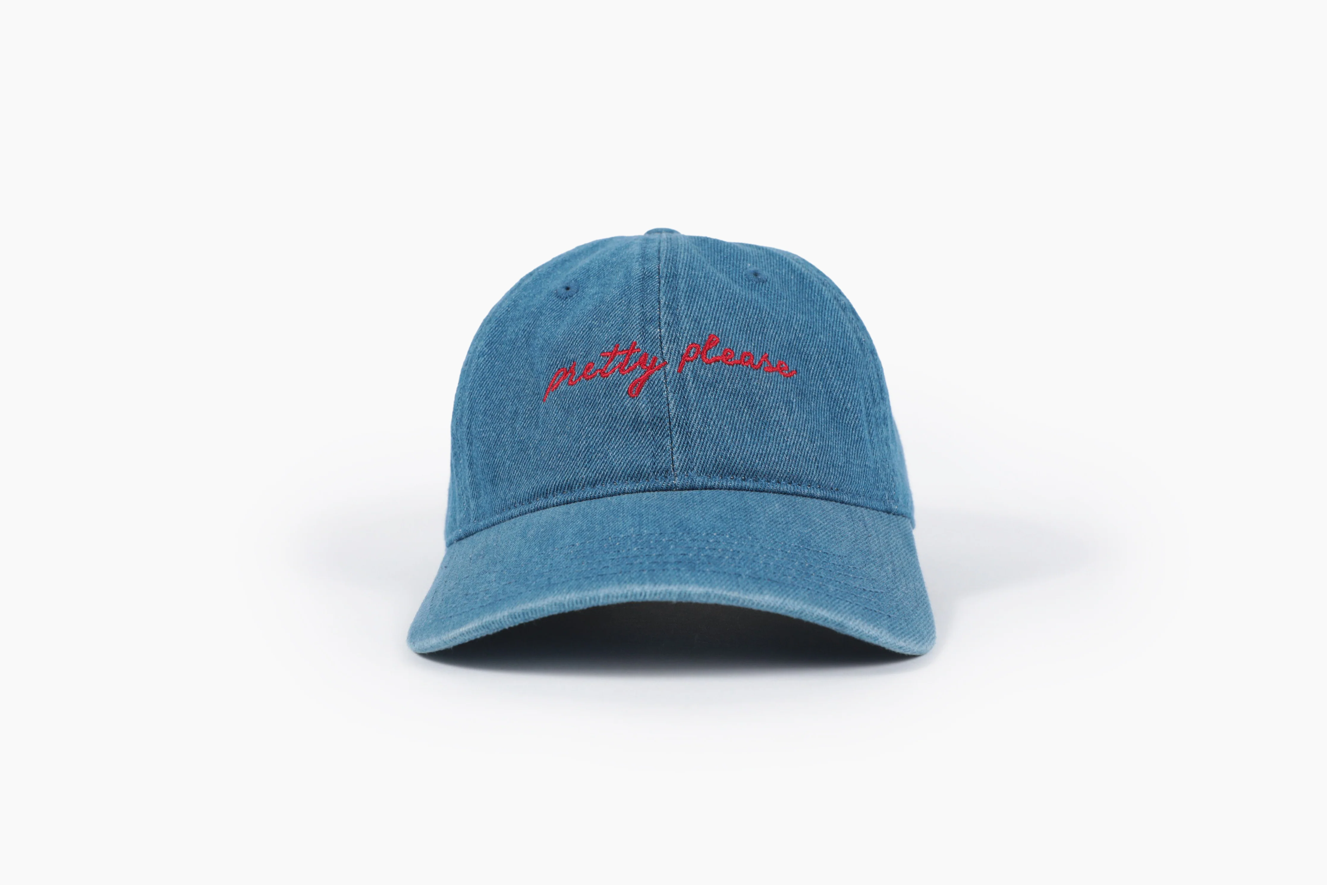 Pretty Please - Dad Hat